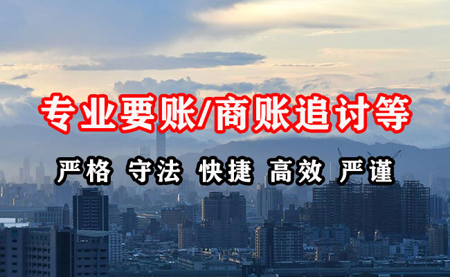 比如收账公司